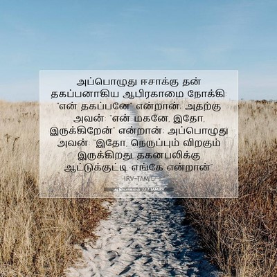 Picture 07 - ஆதியாகமம் 22:7 TAMIRV - அப்பொழுது ஈசாக்கு - Bible Verse Picture