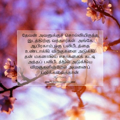 Picture 07 - ஆதியாகமம் 22:9 TAMIRV - தேவன் அவனுக்குச் - Bible Verse Picture