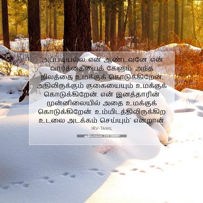 Picture 07 - ஆதியாகமம் 23:11 TAMIRV - “அப்படியல்ல, என் - Bible Verse Picture