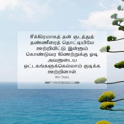 Picture 07 - ஆதியாகமம் 24:20 TAMIRV - சீக்கிரமாகத் தன் - Bible Verse Picture