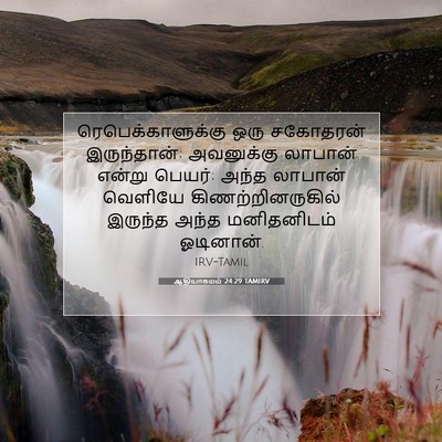 Picture 07 - ஆதியாகமம் 24:29 TAMIRV - ரெபெக்காளுக்கு - Bible Verse Picture