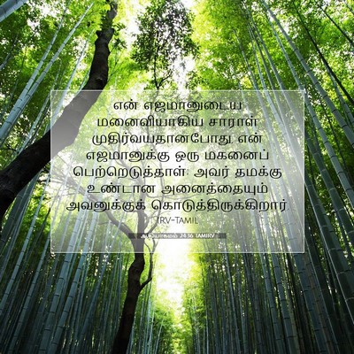 Picture 07 - ஆதியாகமம் 24:36 TAMIRV - என் எஜமானுடைய - Bible Verse Picture