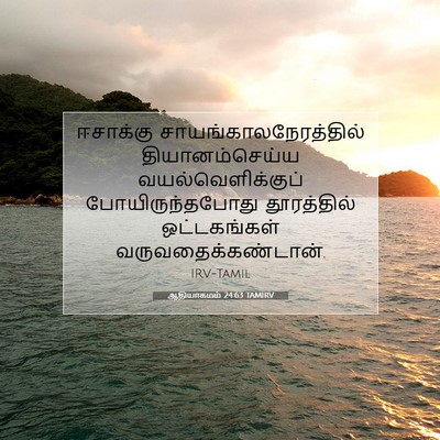 Picture 07 - ஆதியாகமம் 24:63 TAMIRV - ஈசாக்கு - Bible Verse Picture