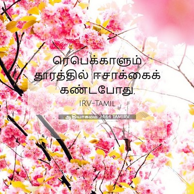 Picture 07 - ஆதியாகமம் 24:64 TAMIRV - ரெபெக்காளும் - Bible Verse Picture