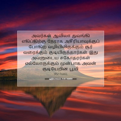 Picture 07 - ஆதியாகமம் 25:18 TAMIRV - அவர்கள் ஆவிலா - Bible Verse Picture