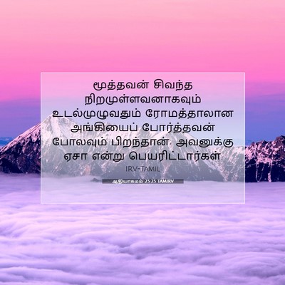 Picture 07 - ஆதியாகமம் 25:25 TAMIRV - மூத்தவன் சிவந்த - Bible Verse Picture