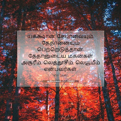 Picture 07 - ஆதியாகமம் 25:3 TAMIRV - யக்க்ஷான் - Bible Verse Picture