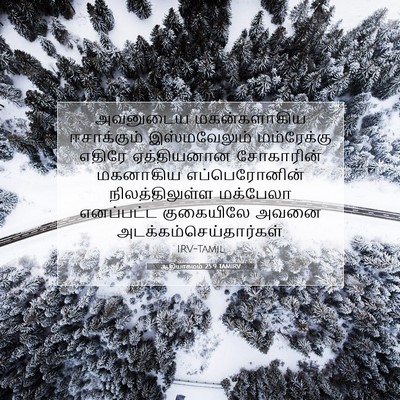 Picture 07 - ஆதியாகமம் 25:9 TAMIRV - அவனுடைய - Bible Verse Picture