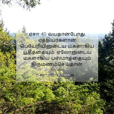Picture 07 - ஆதியாகமம் 26:34 TAMIRV - ஏசா 40 வயதானபோது, - Bible Verse Picture