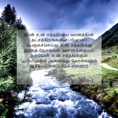 Picture 07 - ஆதியாகமம் 26:5 TAMIRV - நான் உன் சந்ததியை - Bible Verse Picture