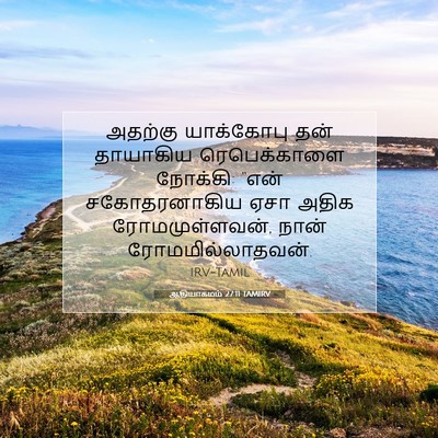 Picture 07 - ஆதியாகமம் 27:11 TAMIRV - அதற்கு யாக்கோபு - Bible Verse Picture