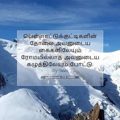 Picture 07 - ஆதியாகமம் 27:16 TAMIRV -  - Bible Verse Picture