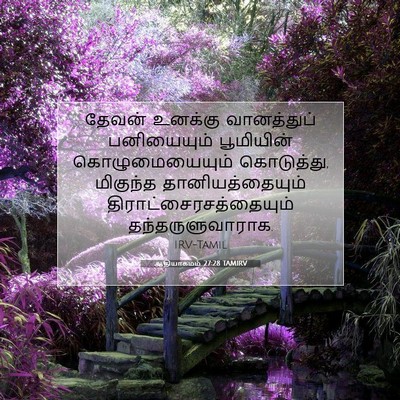 Picture 07 - ஆதியாகமம் 27:28 TAMIRV - தேவன் உனக்கு - Bible Verse Picture