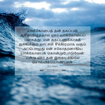 Picture 07 - ஆதியாகமம் 27:41 TAMIRV - யாக்கோபைத் தன் - Bible Verse Picture