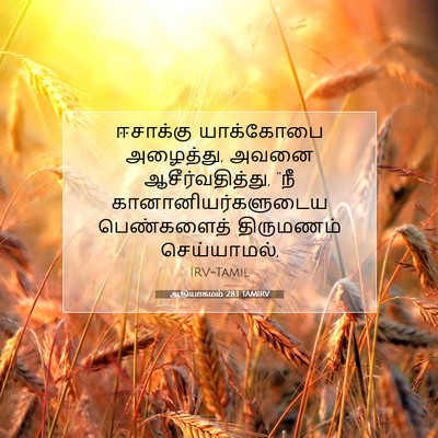 Picture 07 - ஆதியாகமம் 28:1 TAMIRV - ஈசாக்கு யாக்கோபை - Bible Verse Picture