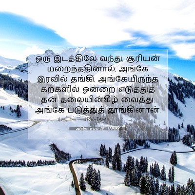 Picture 07 - ஆதியாகமம் 28:11 TAMIRV - ஒரு இடத்திலே - Bible Verse Picture