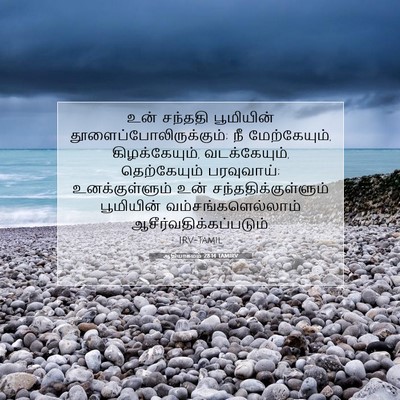 Picture 07 - ஆதியாகமம் 28:14 TAMIRV - உன் சந்ததி - Bible Verse Picture