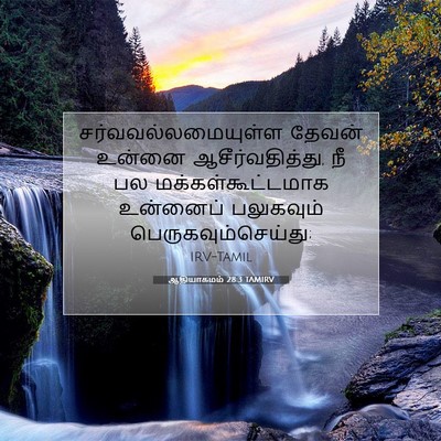 Picture 07 - ஆதியாகமம் 28:3 TAMIRV - சர்வவல்லமையுள்ள - Bible Verse Picture