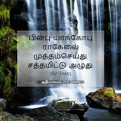 Picture 07 - ஆதியாகமம் 29:11 TAMIRV - பின்பு யாக்கோபு - Bible Verse Picture