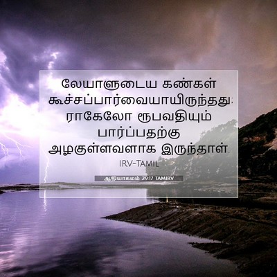 Picture 07 - ஆதியாகமம் 29:17 TAMIRV - லேயாளுடைய கண்கள் - Bible Verse Picture