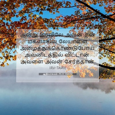 Picture 07 - ஆதியாகமம் 29:23 TAMIRV - அன்று இரவிலே அவன் - Bible Verse Picture