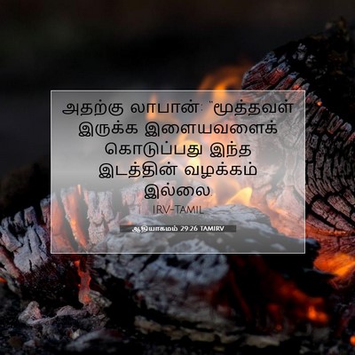 Picture 07 - ஆதியாகமம் 29:26 TAMIRV - அதற்கு லாபான்: - Bible Verse Picture