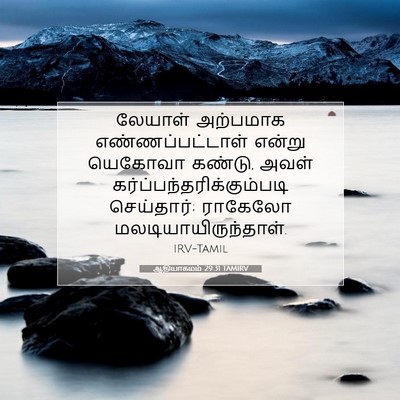 Picture 07 - ஆதியாகமம் 29:31 TAMIRV - லேயாள் அற்பமாக - Bible Verse Picture