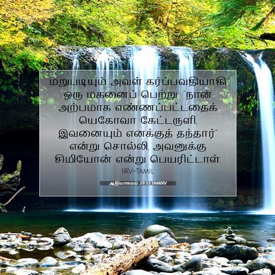 Picture 07 - ஆதியாகமம் 29:33 TAMIRV - மறுபடியும் அவள் - Bible Verse Picture