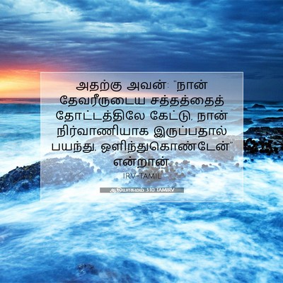 Picture 07 - ஆதியாகமம் 3:10 TAMIRV - அதற்கு அவன்: “நான் - Bible Verse Picture