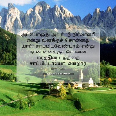 Picture 07 - ஆதியாகமம் 3:11 TAMIRV - அப்பொழுது அவர்: - Bible Verse Picture