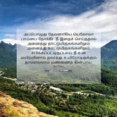 Picture 07 - ஆதியாகமம் 3:14 TAMIRV - அப்பொழுது - Bible Verse Picture