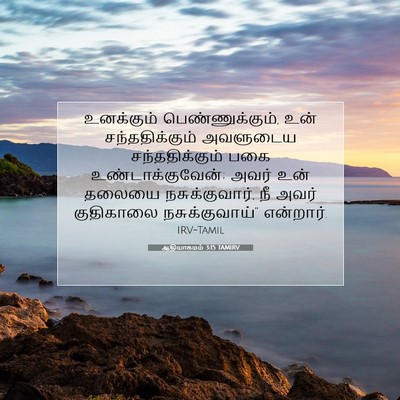 Picture 07 - ஆதியாகமம் 3:15 TAMIRV - உனக்கும் - Bible Verse Picture
