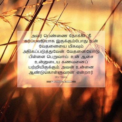 Picture 07 - ஆதியாகமம் 3:16 TAMIRV - அவர் பெண்ணை - Bible Verse Picture