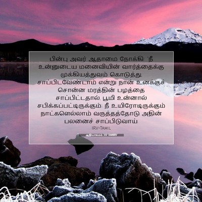 Picture 07 - ஆதியாகமம் 3:17 TAMIRV - பின்பு அவர் ஆதாமை - Bible Verse Picture