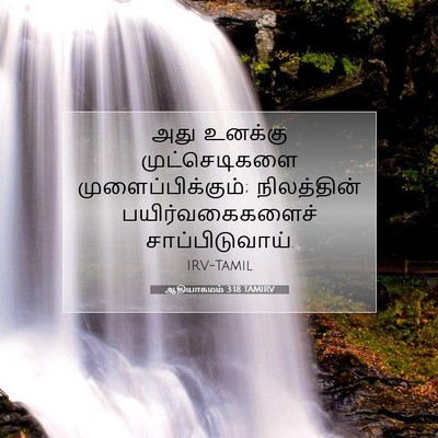 Picture 07 - ஆதியாகமம் 3:18 TAMIRV - அது உனக்கு - Bible Verse Picture