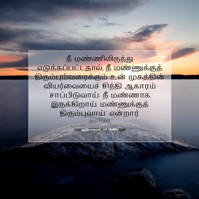 Picture 07 - ஆதியாகமம் 3:19 TAMIRV - நீ மண்ணிலிருந்து - Bible Verse Picture