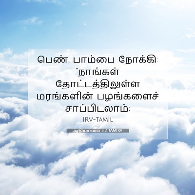 Picture 07 - ஆதியாகமம் 3:2 TAMIRV - பெண், பாம்பை - Bible Verse Picture