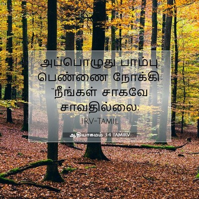 Picture 07 - ஆதியாகமம் 3:4 TAMIRV - அப்பொழுது பாம்பு, - Bible Verse Picture
