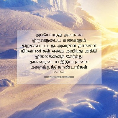 Picture 07 - ஆதியாகமம் 3:7 TAMIRV - அப்பொழுது அவர்கள் - Bible Verse Picture