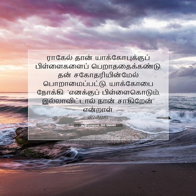 Picture 07 - ஆதியாகமம் 30:1 TAMIRV - ராகேல் தான் - Bible Verse Picture