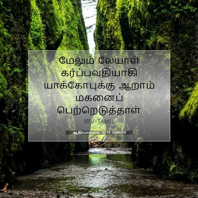 Picture 07 - ஆதியாகமம் 30:19 TAMIRV - மேலும் லேயாள் - Bible Verse Picture