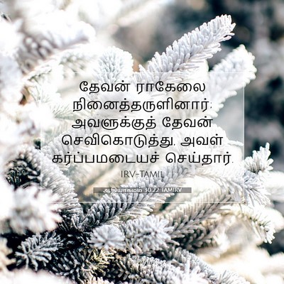 Picture 07 - ஆதியாகமம் 30:22 TAMIRV - தேவன் ராகேலை - Bible Verse Picture