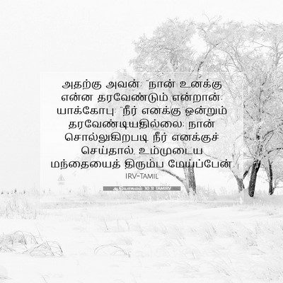 Picture 07 - ஆதியாகமம் 30:31 TAMIRV - அதற்கு அவன்: “நான் - Bible Verse Picture
