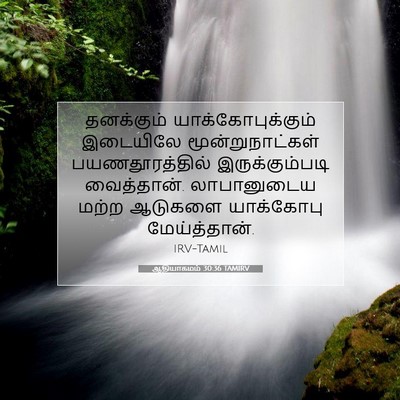 Picture 07 - ஆதியாகமம் 30:36 TAMIRV - தனக்கும் - Bible Verse Picture