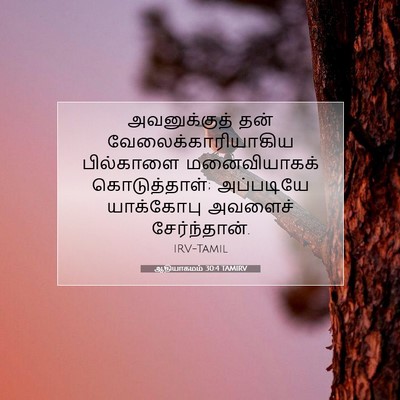 Picture 07 - ஆதியாகமம் 30:4 TAMIRV - அவனுக்குத் தன் - Bible Verse Picture