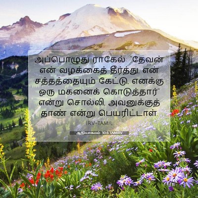 Picture 07 - ஆதியாகமம் 30:6 TAMIRV - அப்பொழுது ராகேல்: - Bible Verse Picture