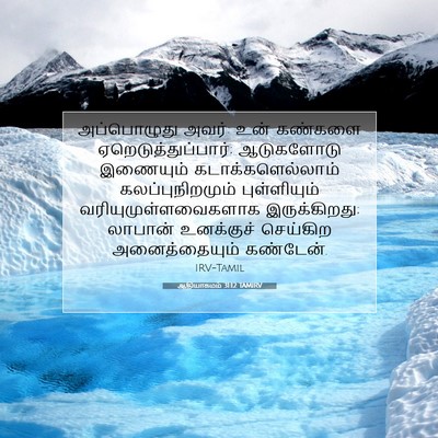 Picture 07 - ஆதியாகமம் 31:12 TAMIRV - அப்பொழுது அவர்: - Bible Verse Picture