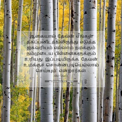 Picture 07 - ஆதியாகமம் 31:16 TAMIRV - ஆகையால் தேவன் - Bible Verse Picture