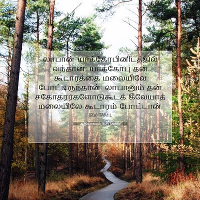 Picture 07 - ஆதியாகமம் 31:25 TAMIRV - லாபான் - Bible Verse Picture