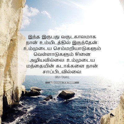 Picture 07 - ஆதியாகமம் 31:38 TAMIRV - இந்த இருபது - Bible Verse Picture